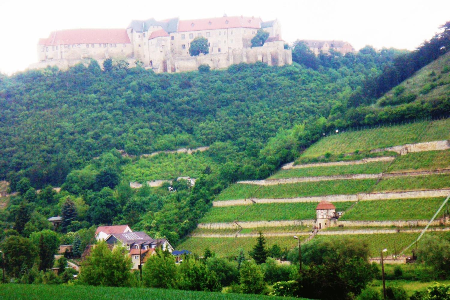 Landhotel Weingut Schulze Фрейбург Экстерьер фото