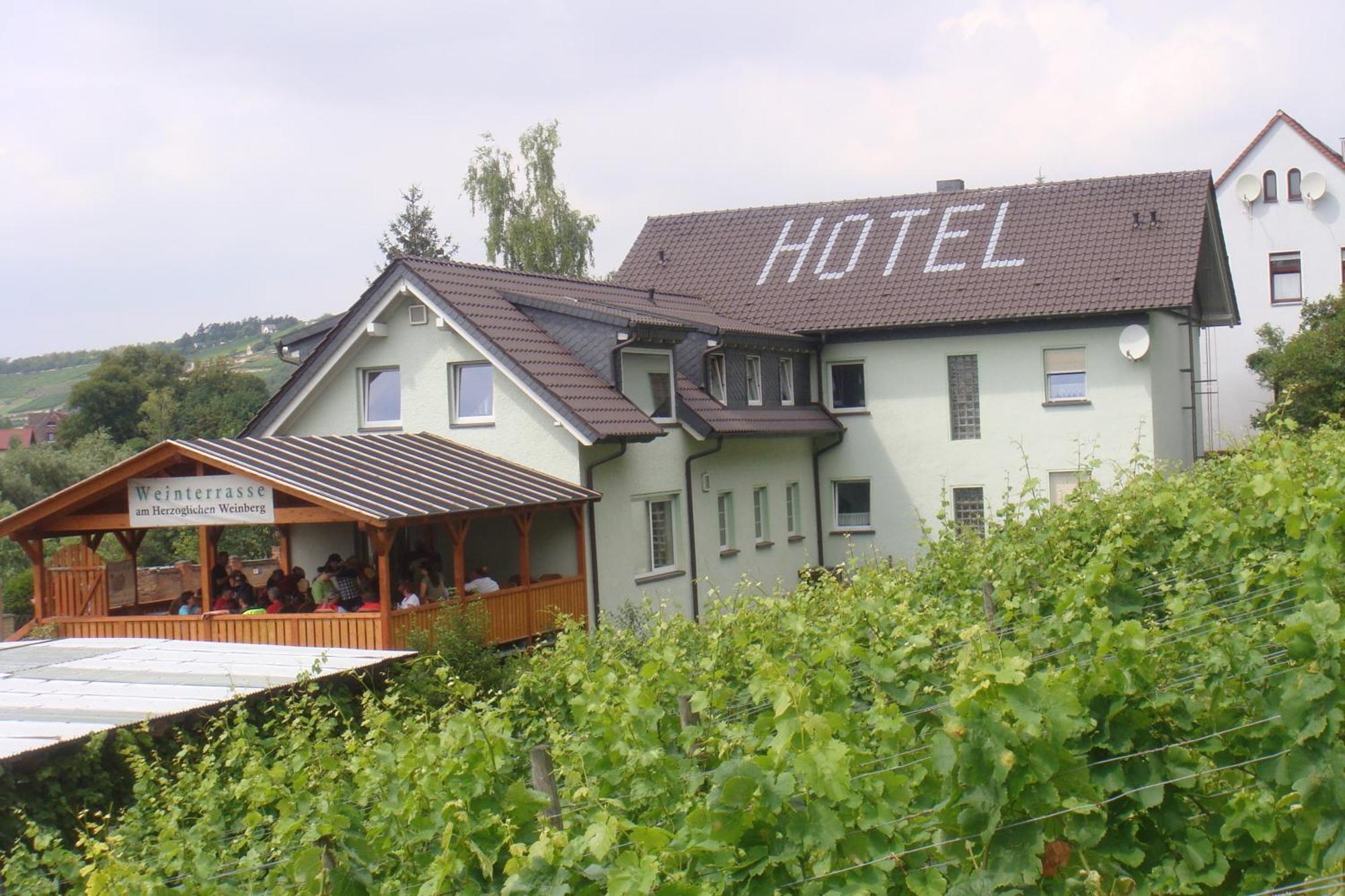 Landhotel Weingut Schulze Фрейбург Экстерьер фото